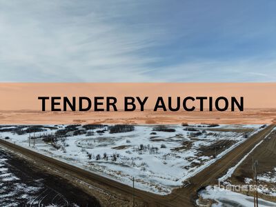 Holden, AB SE 4-50-16-W4 159 +/- Acres on Title Farmland