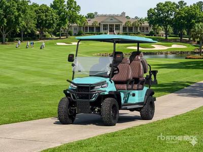 2026 Terratop GZXK-6.0 Electric Carro de Golf (Sin Usar) / Veicolo per campo da golf
