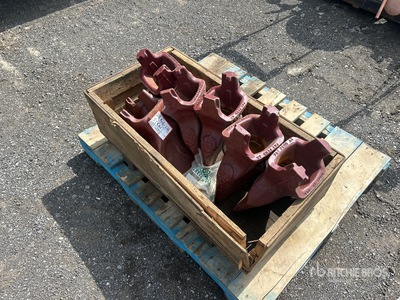 Quantity of (7) Bucket Teeth