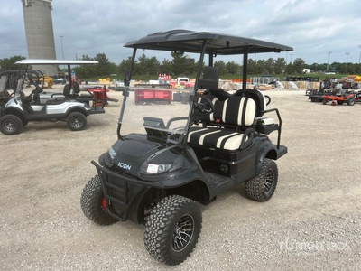 ICON Electric Carro de golf