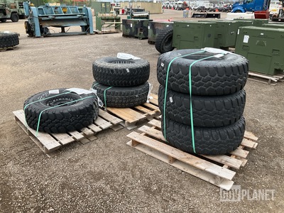 (6) Assorted Tires