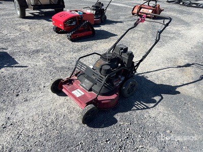 2019 Toro Walk-Behind Lawn Mower