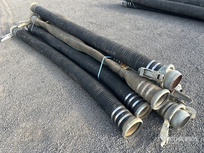 Quantity of (6) 6 Inch Wąż