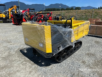 2026 CD25,CDW25 Mini Crawler Dumper (Unused)