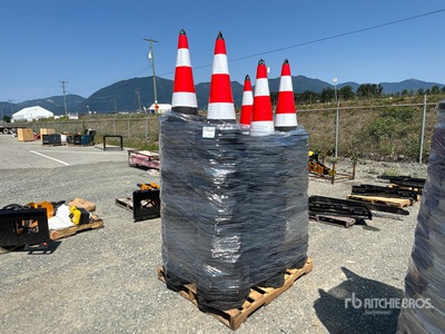 Quantity of (250) 2026 TSC Traffic Cones (Unused)