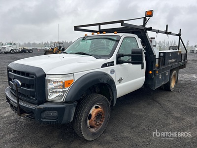2015 Ford F-450 XL 4x2 Camion plataforma con grua