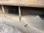 Dust Collector with