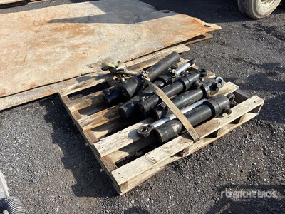 Quantity of (7) Cylinder