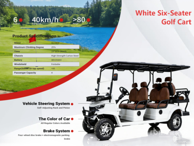 2026 Electric White Six-Seater Golf Cart (Unused)