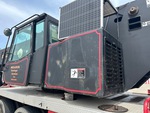 General Appearance with Paint