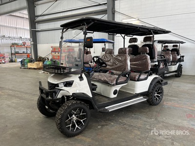 2026 Electric Golf Cart (Unused)