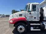 General Appearance with Paint