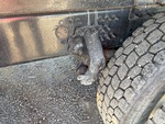 Underbody with Zawieszenie sprężyn / wsporników