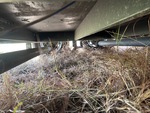 Trailer Chassis with Springs/Hangers Condition