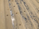 General Appearance with Paint