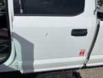 General Appearance with Paint