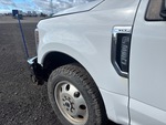 General Appearance with Paint