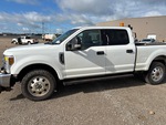 General Appearance with Paint