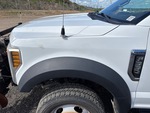 General Appearance with Paint