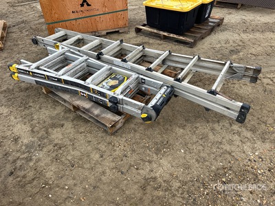 Quantity of (2) Ladder