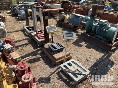 Quantity of (6) Scale (Inoperable)