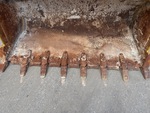 Specialty with Loader Bucket Shanks and Teeth