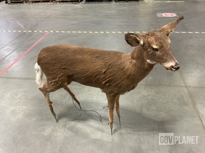 (2) Futuba Attack-4 Radio Control Robotic/Decoy Deer
