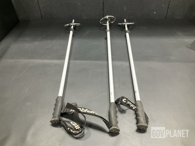 (114) Ski Poles