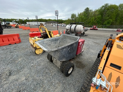 2020 Allen AR16P Stand-On Concrete Buggy