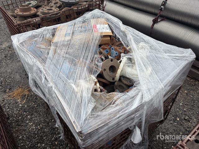 Quantity of Misc. Pipe Fittings & Fittings and Flanges