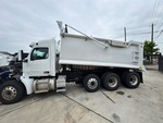 General Appearance with Paint