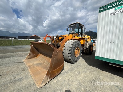 2007 Hyundai Pala Cargadora