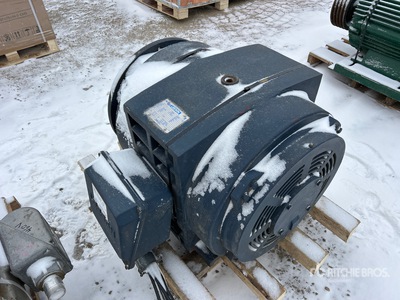 Leeson 150 HP Motor eléctrico