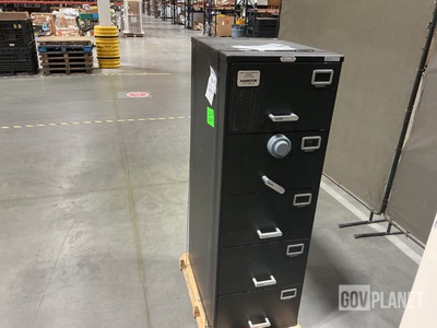 (2) Filing Cabinet Safes