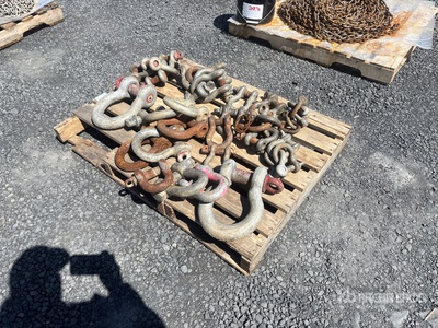 Quantity of シャックル