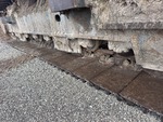 Undercarriage with Right Track Rollers