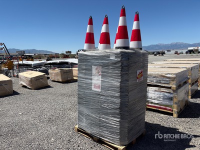 Quantity of (250) 2026 TSC Conos de trafico (Unused)