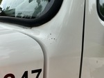 General Appearance with Paint