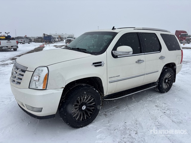 2011 Cadillac Escalade 2011 Cadillac Escalade Awd Suv