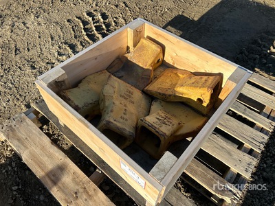 Quantity of (5) اسنان