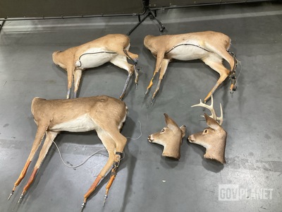 (2) Futuba Robotic/Decoy Deer & (1) Robotic/Decoy Deer Body