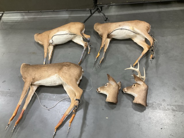 (2) Futuba Robotic/Decoy Deer & (1) Robotic/Decoy Deer Body