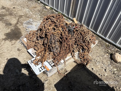 Quantity of Tire Chains