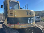 General Appearance with Paint