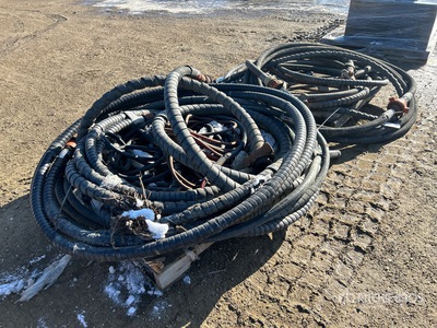 Quantity of Schlauch