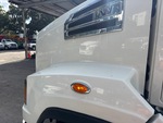 General Appearance with Paint