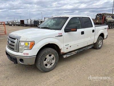 2011 Ford F-150 XLT 4x4 Crew Cab بيك اب