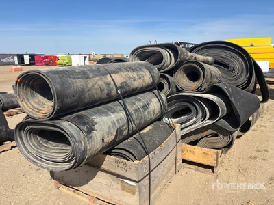 Quantity of Conveyor Belt