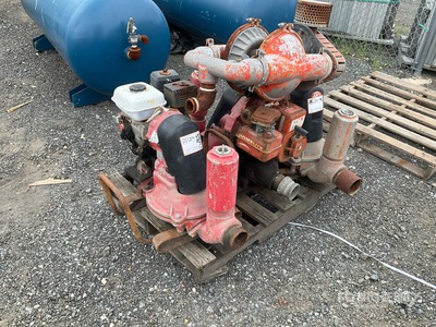 Quantity of (4) Pumps Varios, Bomba