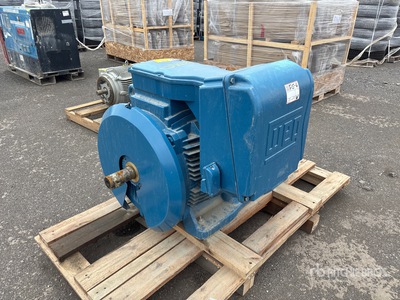 Weg W22 Electric Motor
